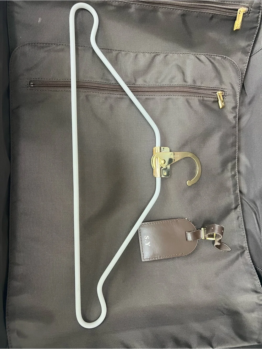 Louis Vuitton Damier Ebene Pegase 50 with hanger, garment bag etc